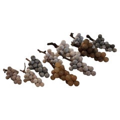 Raisin d
albâtre - Moyen