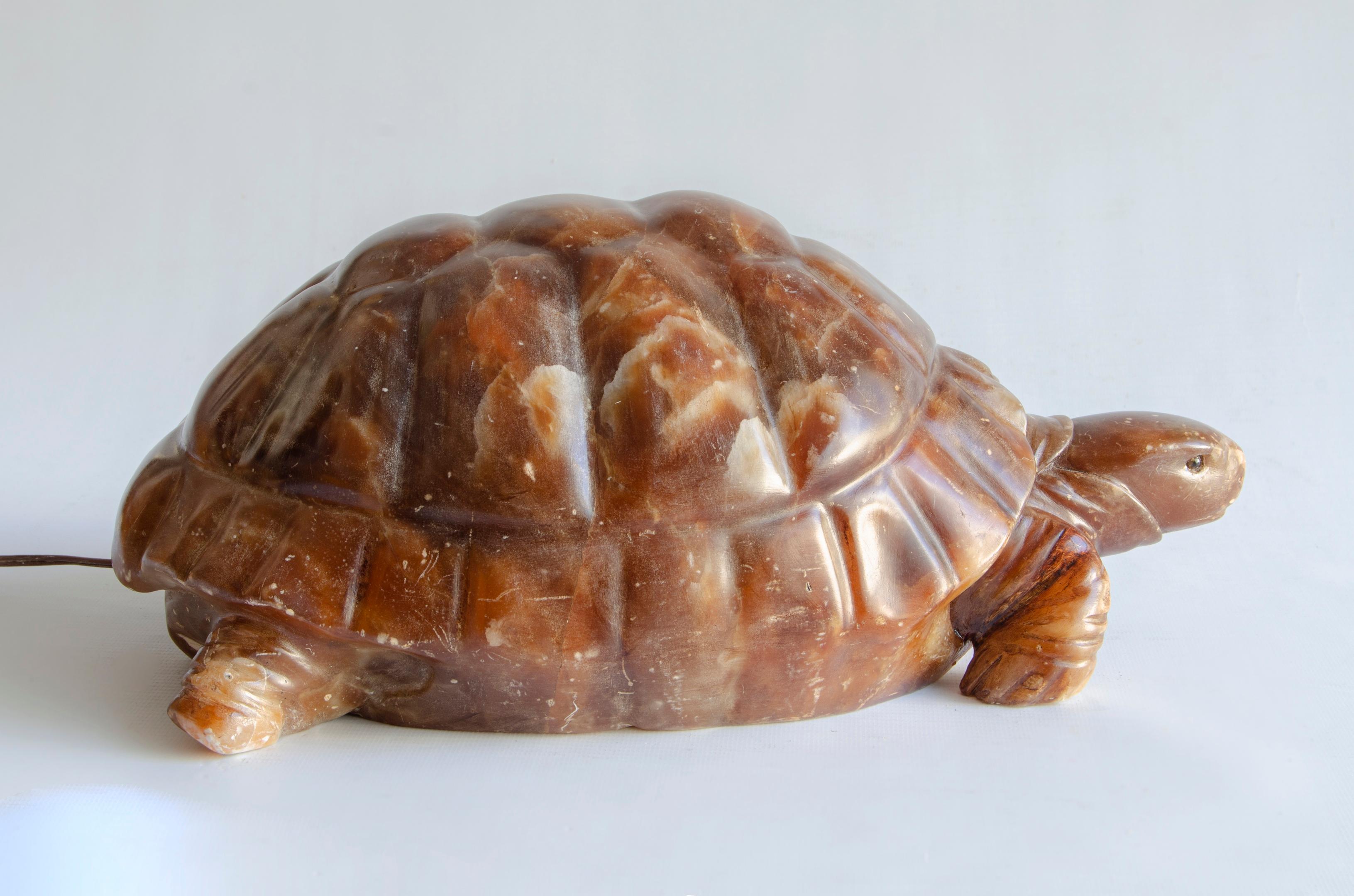 Alabasterlampe Schildkrötenfigur
herkunft Italien
Künstler G.Ruggeri
zwanzigstes Jahrhundert
elektrifiziert 220 w
unbeschädigt, ohne Restaurierungen, mit natürlicher Abnutzung.