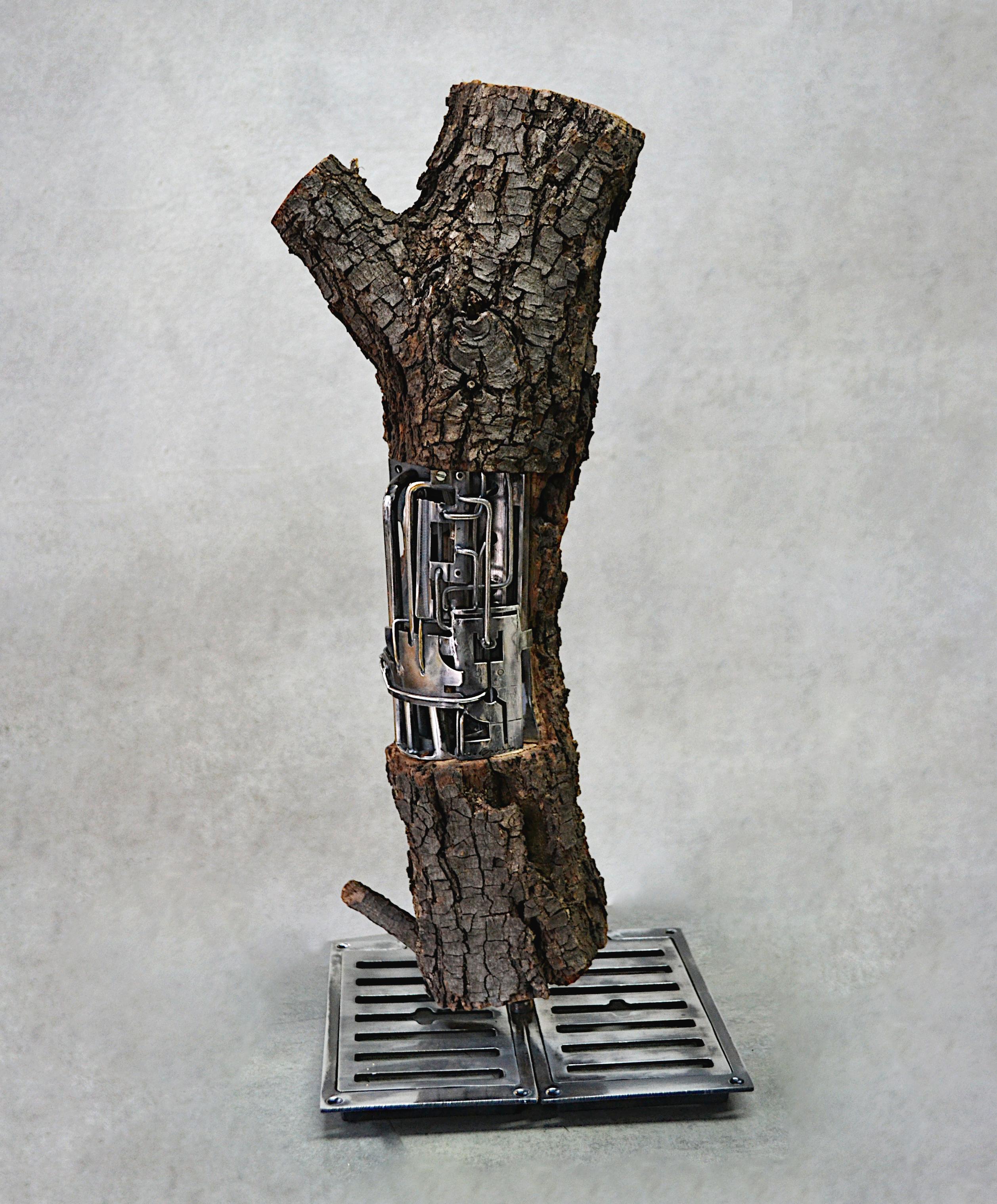 Lignum Ex-Machina - Sculpture de Alain BELLINO