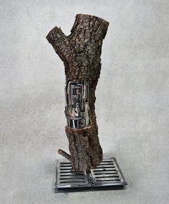 Lignum Ex-Machina: Contemporary Bronze and Wood Sculpture