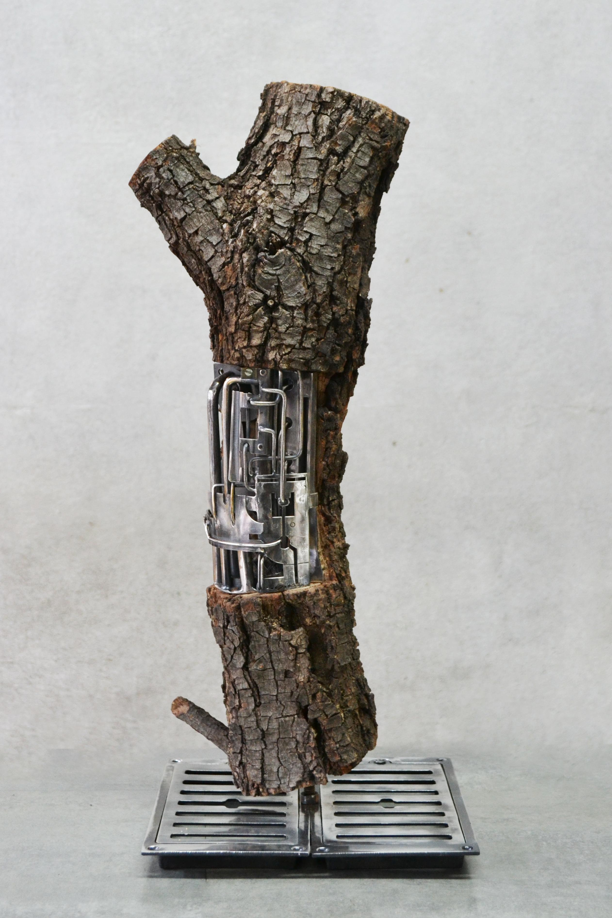 Lignum Ex-Machina - Contemporain Sculpture par Alain BELLINO