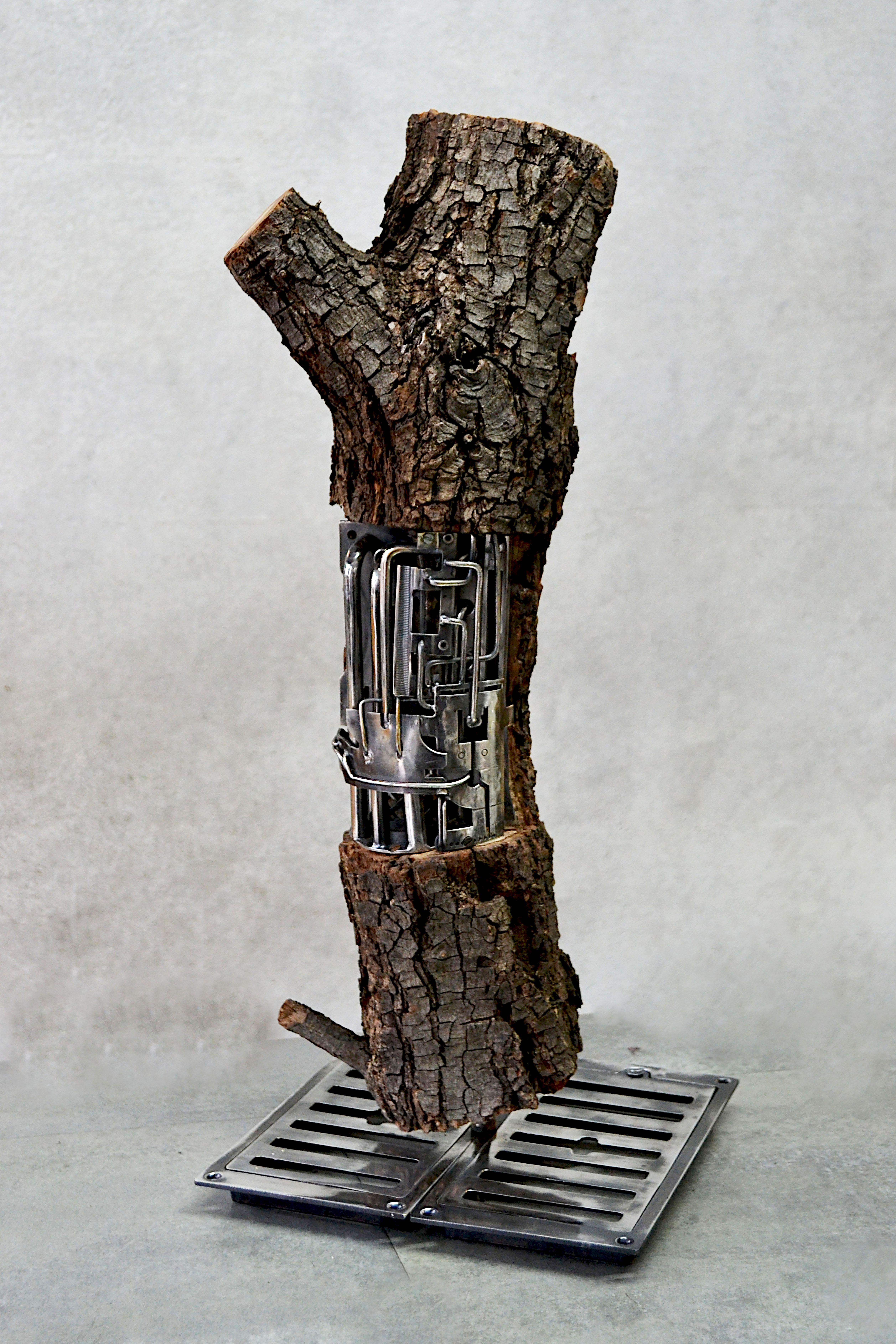 Alain BELLINO Figurative Sculpture – Lignum Ex-Machina