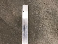 "Phalco at Big Window"  Romantic Dog Color Photograph with plexiglass frame