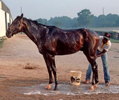 Vintage 'Horse Bath' 1984 Limited Edition Archival Pigment Print 