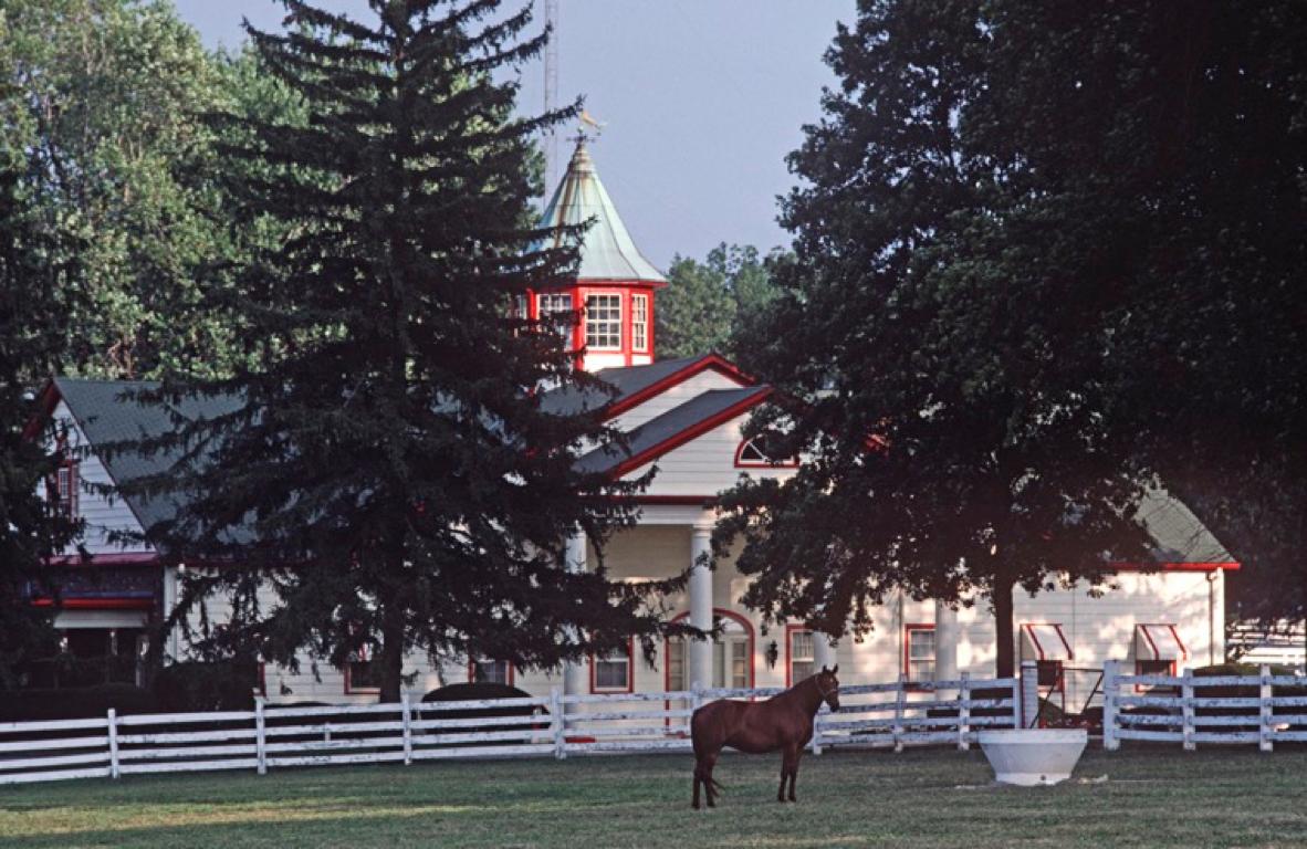 Impression pigmentaire d'archives Kentucky Thoroughbred en édition limitée, 1984