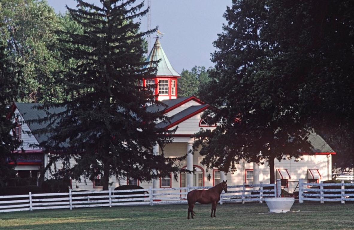 Alain Le Garsmeur Figurative Photograph - 'Kentucky Thoroughbred' 1984 Limited Edition Archival Pigment Print 