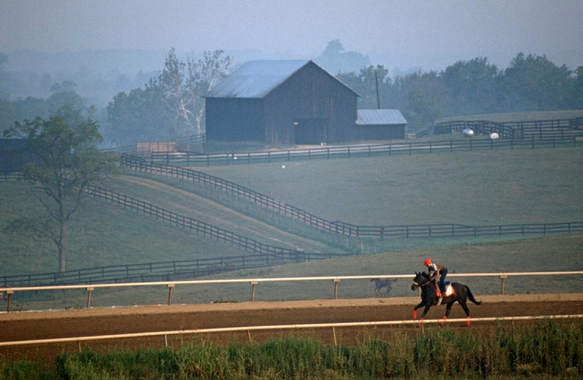 Figurative Photograph de Alain Le Garsmeur - Ejercicio de caballo de carreras" 1984 Edición limitada de impresión en pigmento de archivo