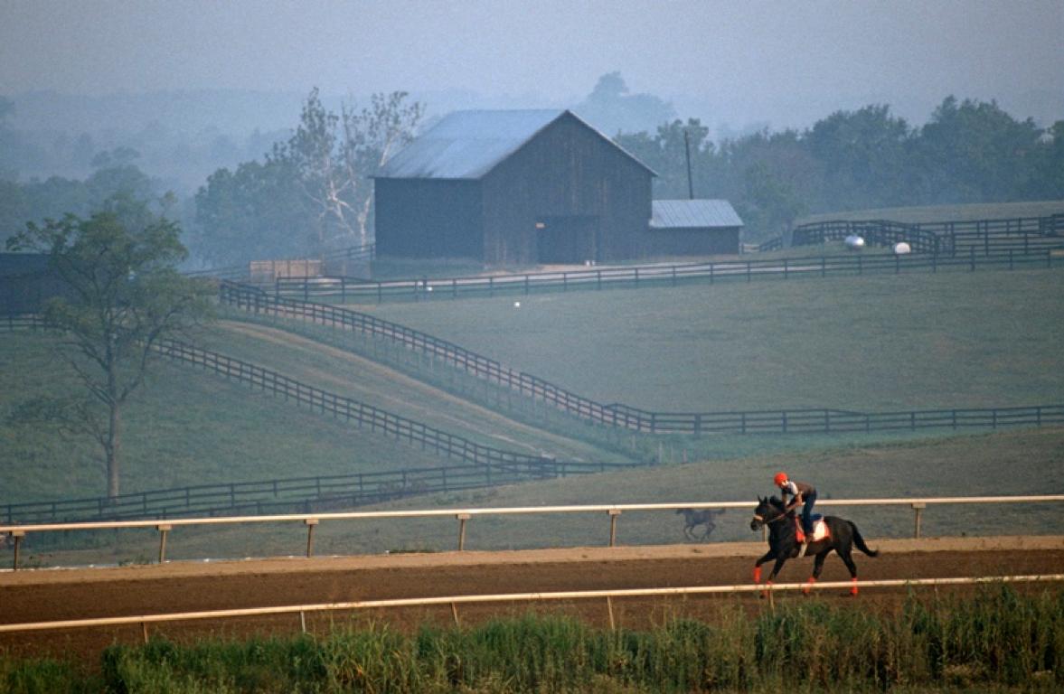 Alain Le Garsmeur Figurative Photograph – „Racehorse Exercise“ 1984 Limitierte Auflage Archivalischer Pigmentdruck 