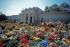 Vintage Elvis Flowers by Alain Le Garsmeur