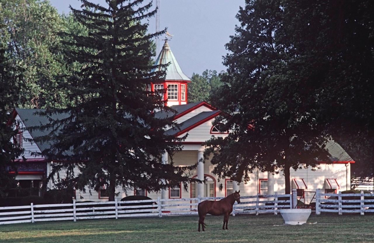 Kentucky Thoroughbred by Alain Le Garsmeur
A thoroughbred horse on the Calumet horse farm, Blue grass country, Lexington, Kentucky, USA, 1984.

Paper size 30 x 40 inches / 76 x 101 cm  
Printed in 2022 - produced from the original