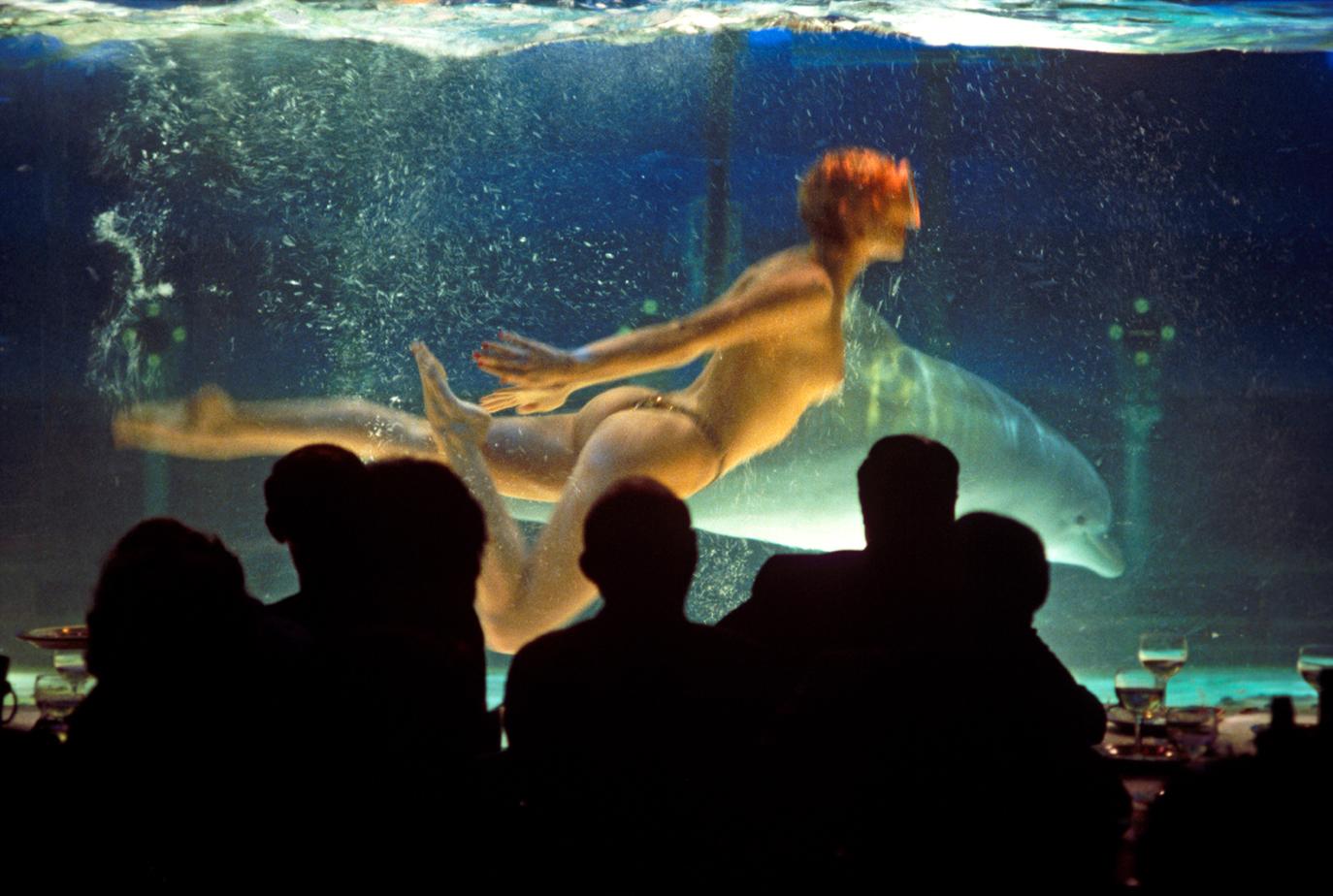 Moulin Rouge Mermaid
by Alain Le Garsmeur

A performer at the Moulin Rouge Cabaret swims underwater with a dolphin in a tank, Clichy, Paris, France, 1979.

Paper size 40 x 30 inches / 101 x 76 cm
Printed in 2024 
Archival Pigment Print 
Signed and