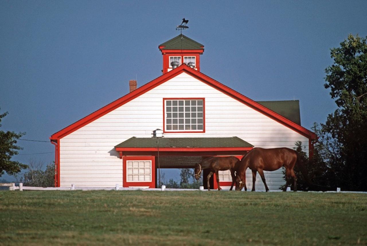 Thoroughbred Stables by Alain Le Garsmeur
Thoroughbred horses in front of their stables on the Calumet horse farm, Bluegrass country, Lexington, Kentucky, USA, 1984.

Paper size 30 x 40 inches / 76 x 101 cm  
Printed in 2022 - produced from the