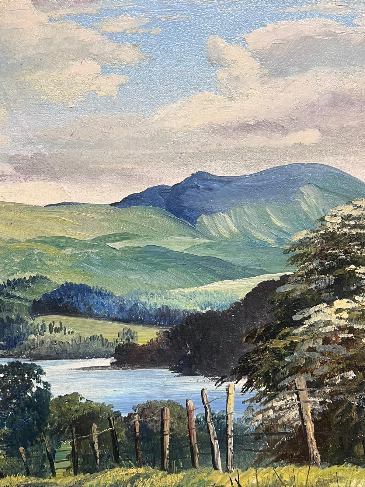 Ullswater El distrito de los lagos inglés Gran cuadro al óleo vintage firmado sobre lienzo 7