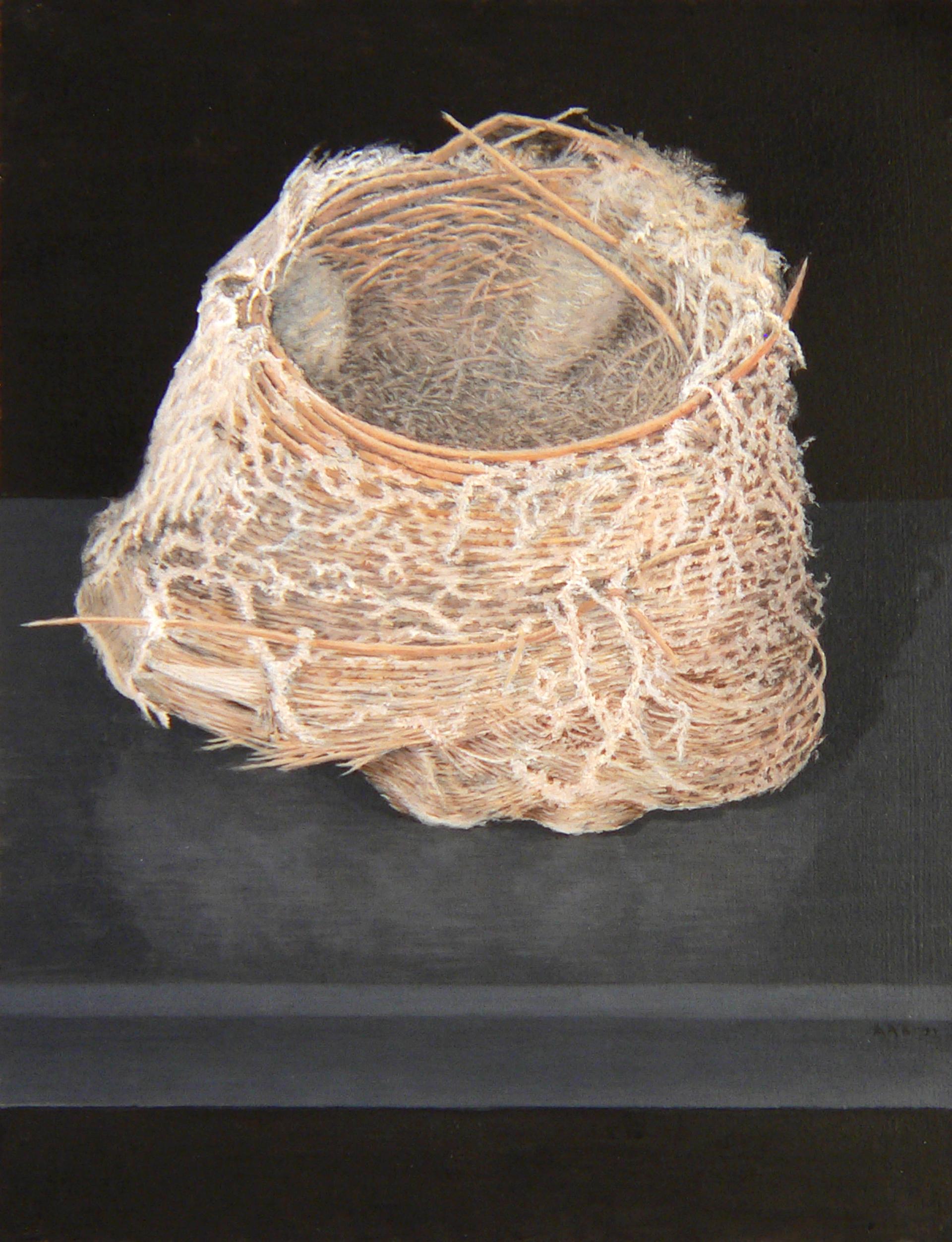 La dernière peinture d'Alan Bray est une œuvre rare et exotique. Il s'est détourné du monde humain pour se concentrer sur les cieux, capturant un nid d'oiseau vide camouflé parmi les branches et les vagues brisées. Bien que moins clandestin vu d'en