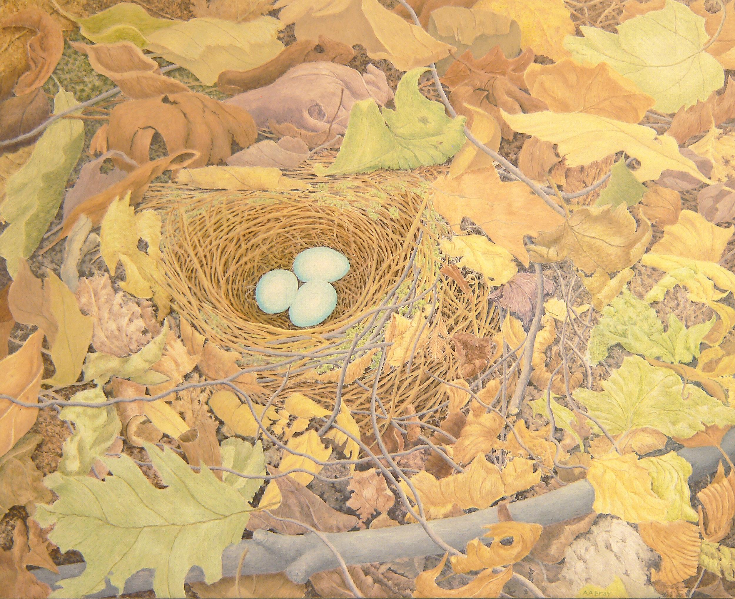 Animal Painting de Alan Bray - Zorzal ermitaño, pintura impresionista al natural en caseína de huevos en nido de pájaro