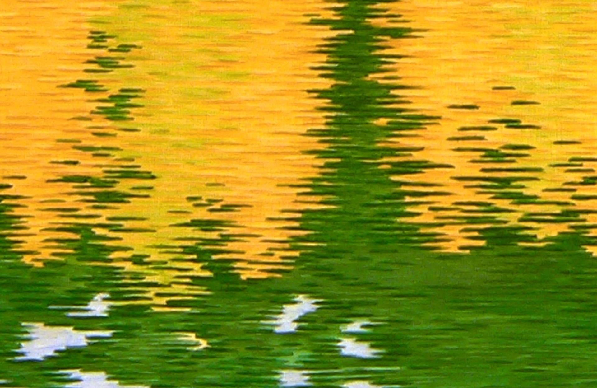 Alerce, Árboles Dorados Reflejados en el Lago con Bosque de Pinos a la Luz del Otoño - Figurative Painting Amarillo de Alan Bray