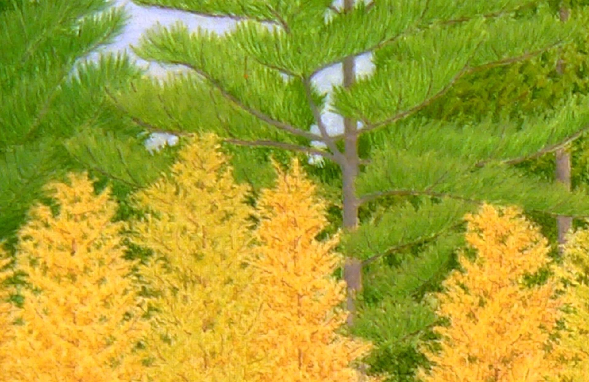 Alerces dorados, reflejos otoñales y tranquilos lagos forestales: este luminoso cuadro capta un momento fugaz de la naturaleza con notable claridad y profundidad emocional. El follaje dorado de los alerces, sobre un fondo de pinos de un verde
