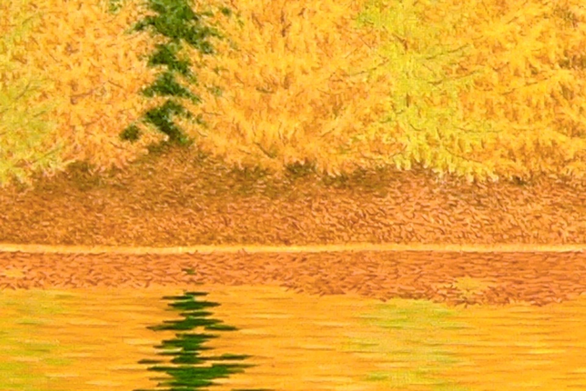 Alerce, Árboles Dorados Reflejados en el Lago con Bosque de Pinos a la Luz del Otoño 1