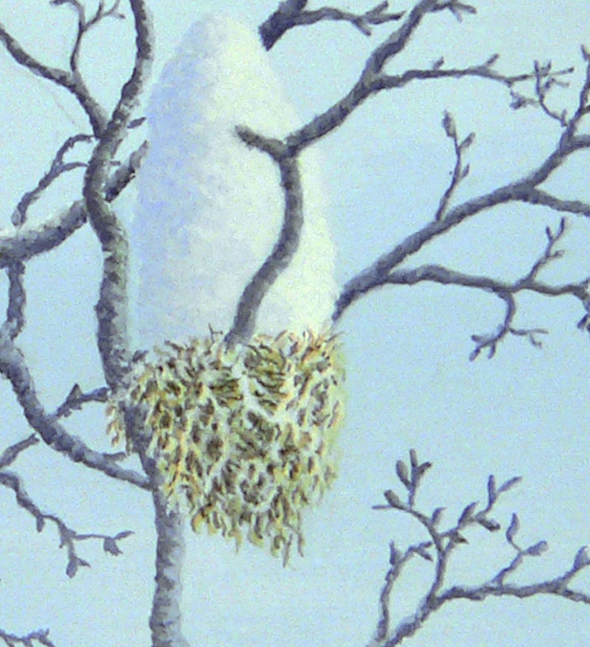 Vecinos Ramas nevadas, nidos de pájaros, formas de gnomos Pintura al temple con caseína en venta 1