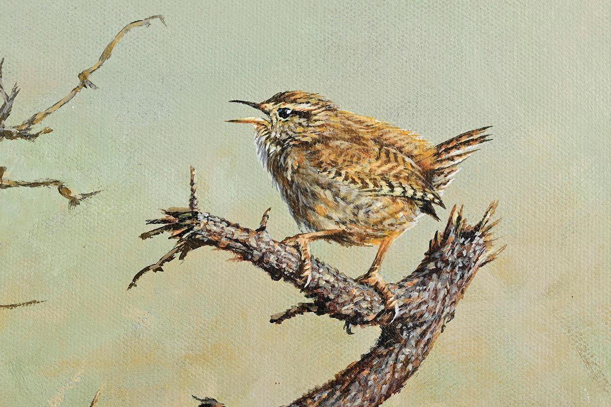 Painted Al;an M Hunt English Landscape Oil Painting on Canvas Wren Song Bird 2006 For Sale