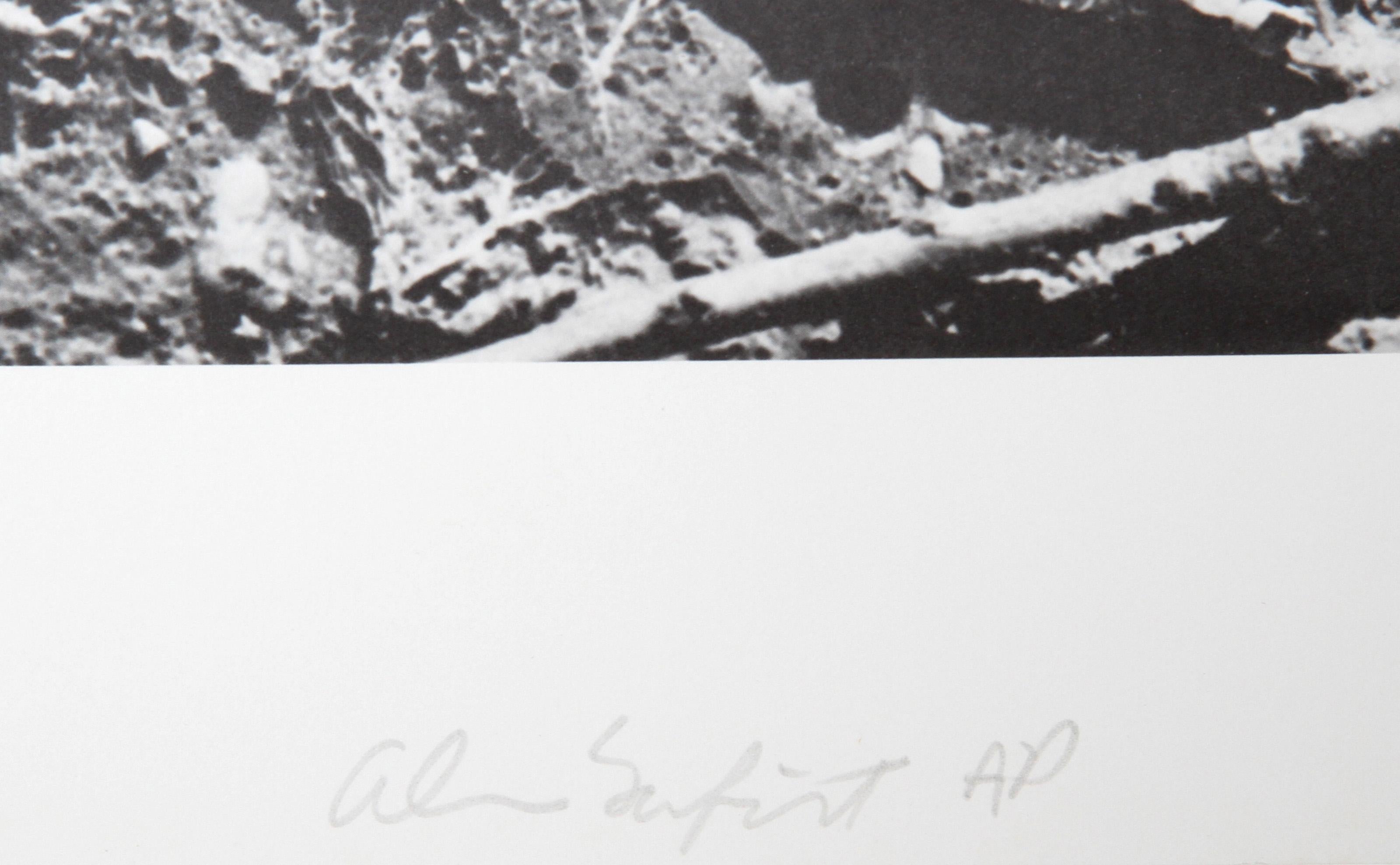 Earth Series 1, Conceptual Lithograph by Alan Sonfist For Sale 1