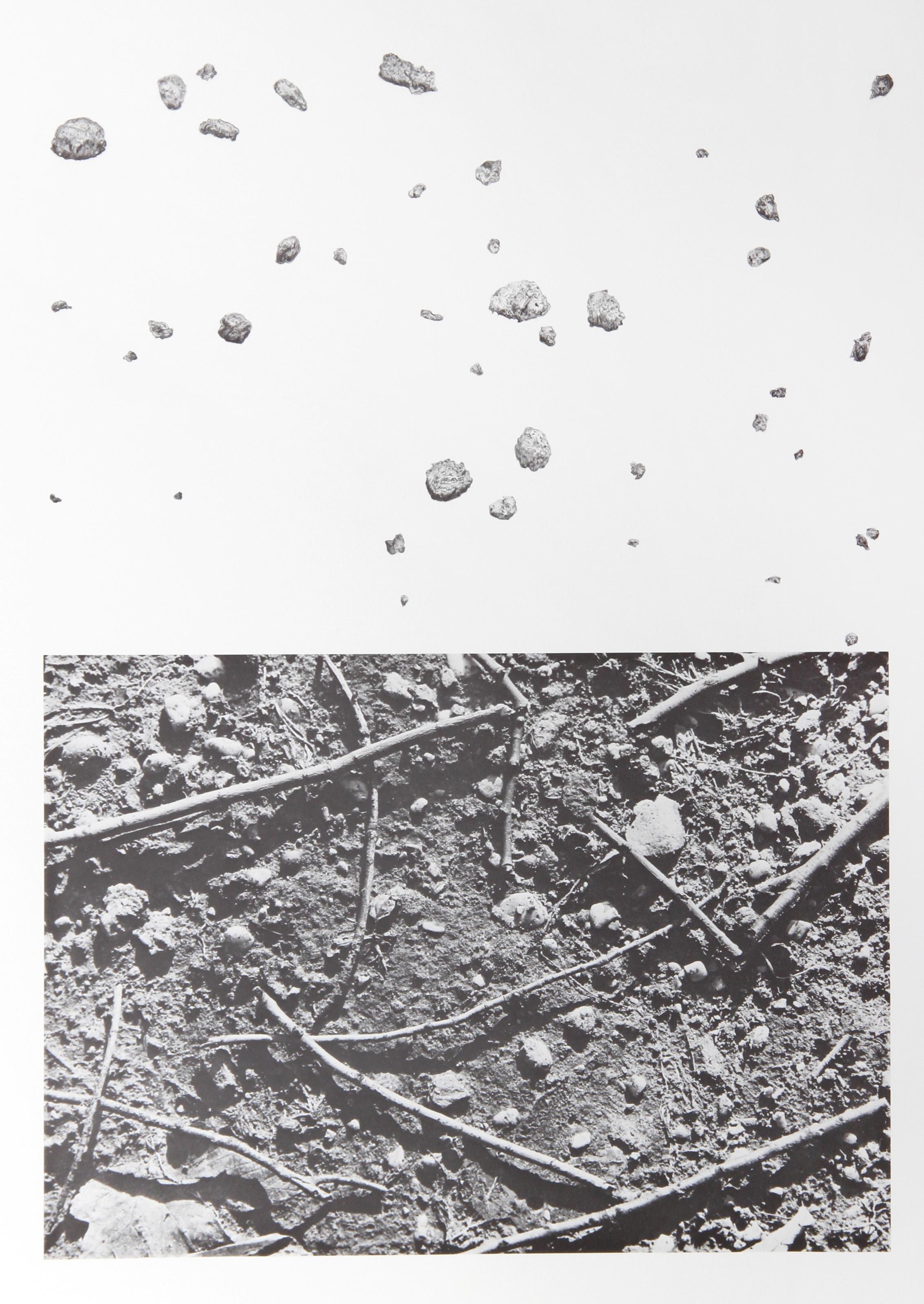 Earth Series 1, Conceptual Lithograph by Alan Sonfist
