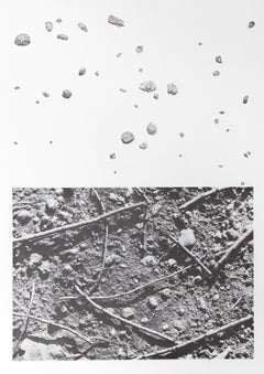 Earth Series 1, litografia concettuale di Alan Sonfist