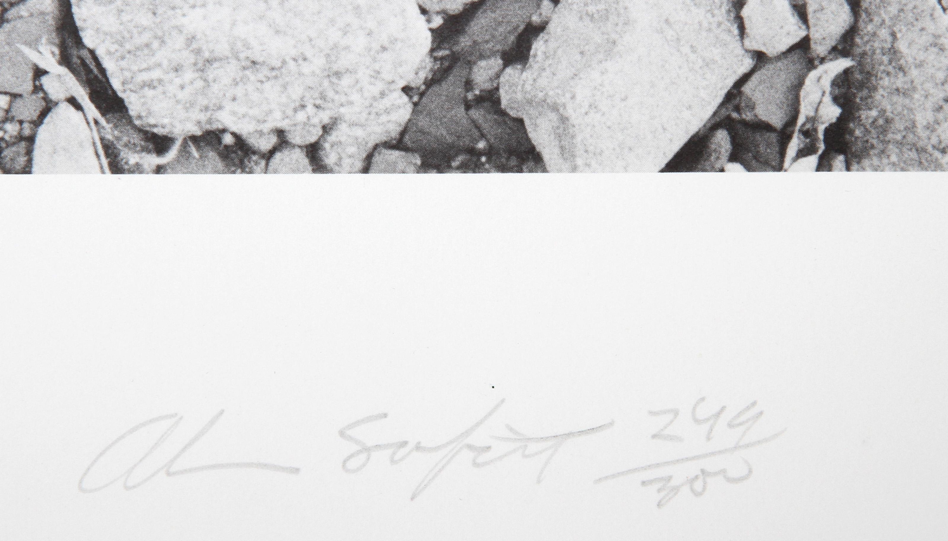 Earth Series 3, Conceptual Lithograph by Alan Sonfist For Sale 1