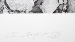 Série Terre 3, lithographie conceptuelle d'Alan Sonfist