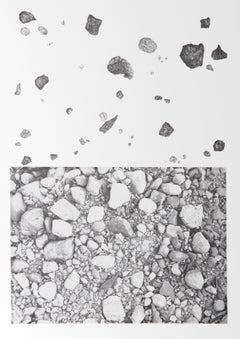 Earth Series 3, litografia concettuale di Alan Sonfist