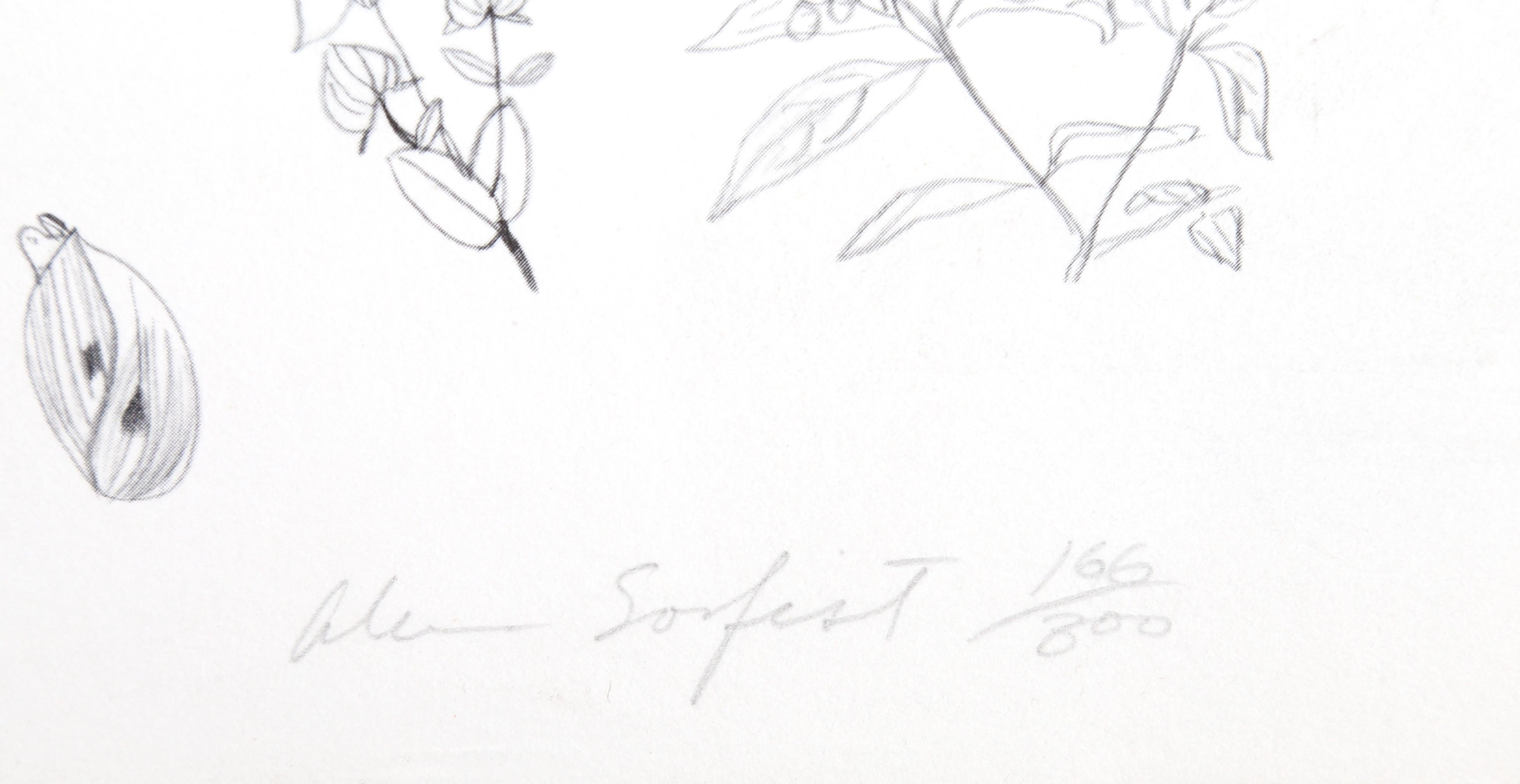 Manhattan Triptych, Set of Three NYC Conceptual Art Lithographs by Alan Sonfist For Sale 3