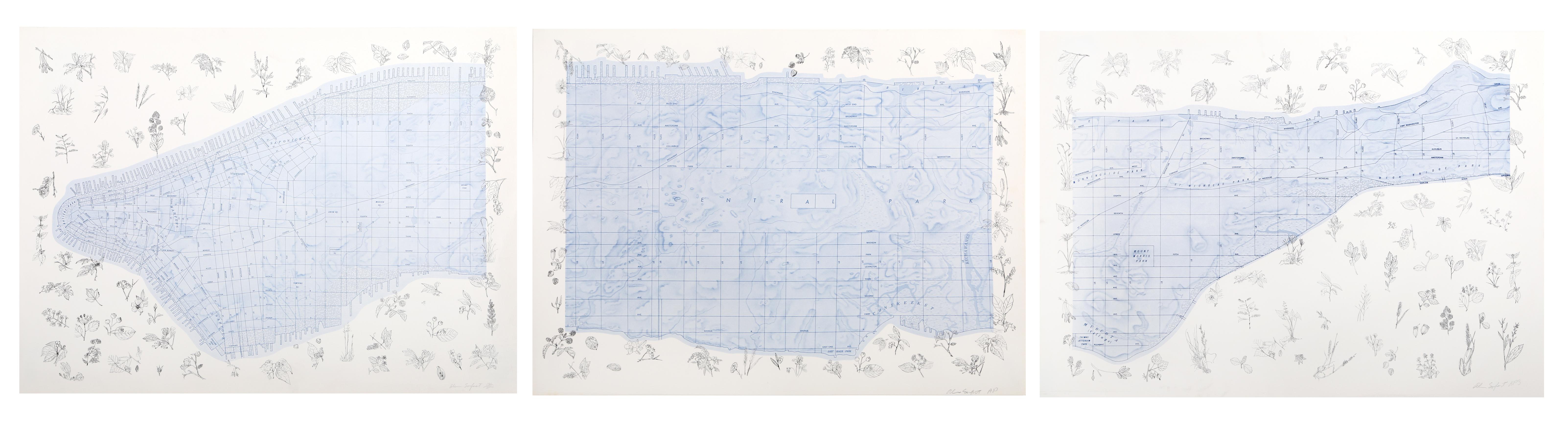 Part of a triptych, this rendering of Manhattan shows the uppermost area of the island of New York City. Along the coasts of the city are large illustrations of plants native to the area. With the exception of the named streets, the map only shows