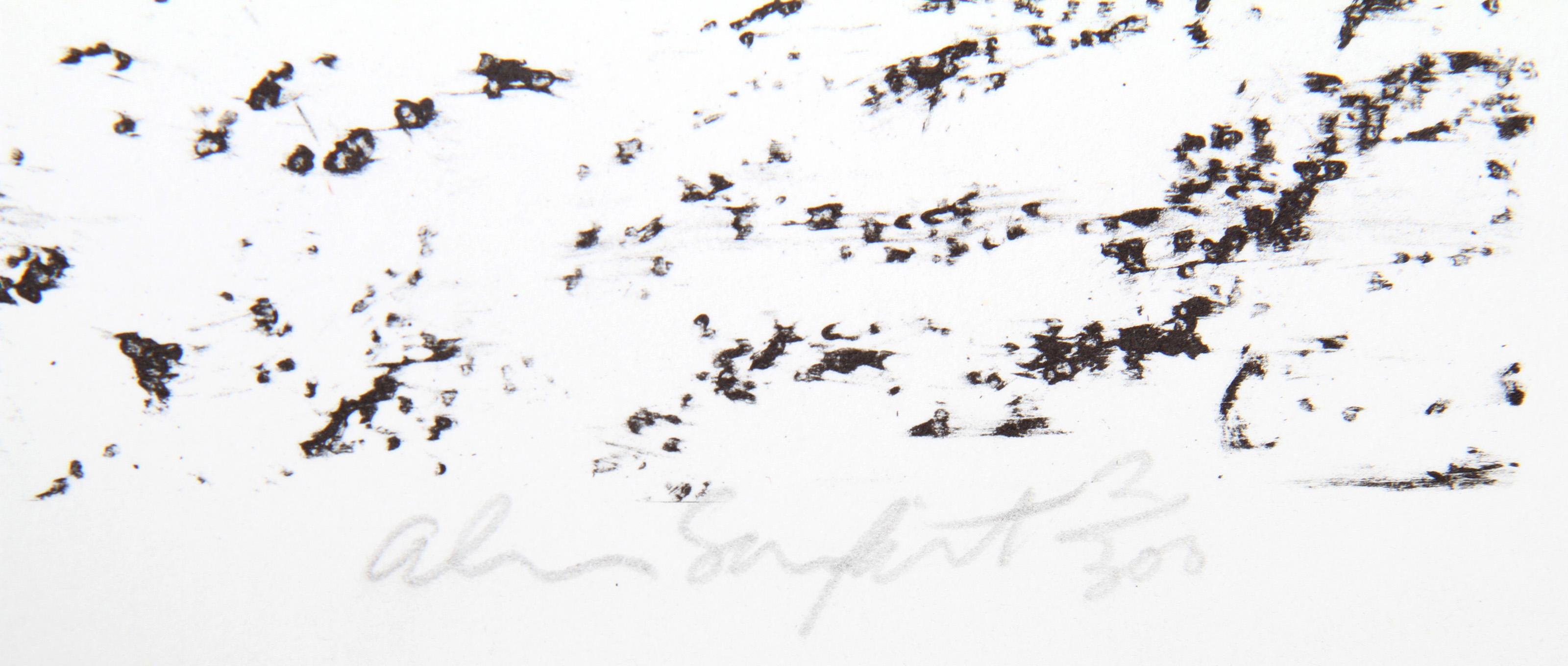 Texture 1, Conceptual Lithograph with Photo-Collage by Alan Sonfist For Sale 1