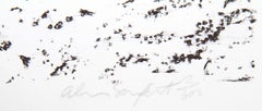 Texture 1, Conceptual Lithograph with Photo-Collage by Alan Sonfist