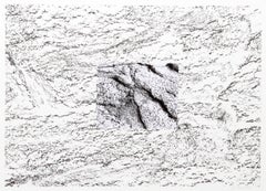 Texture 1, litografia concettuale con collage fotografico di Alan Sonfist
