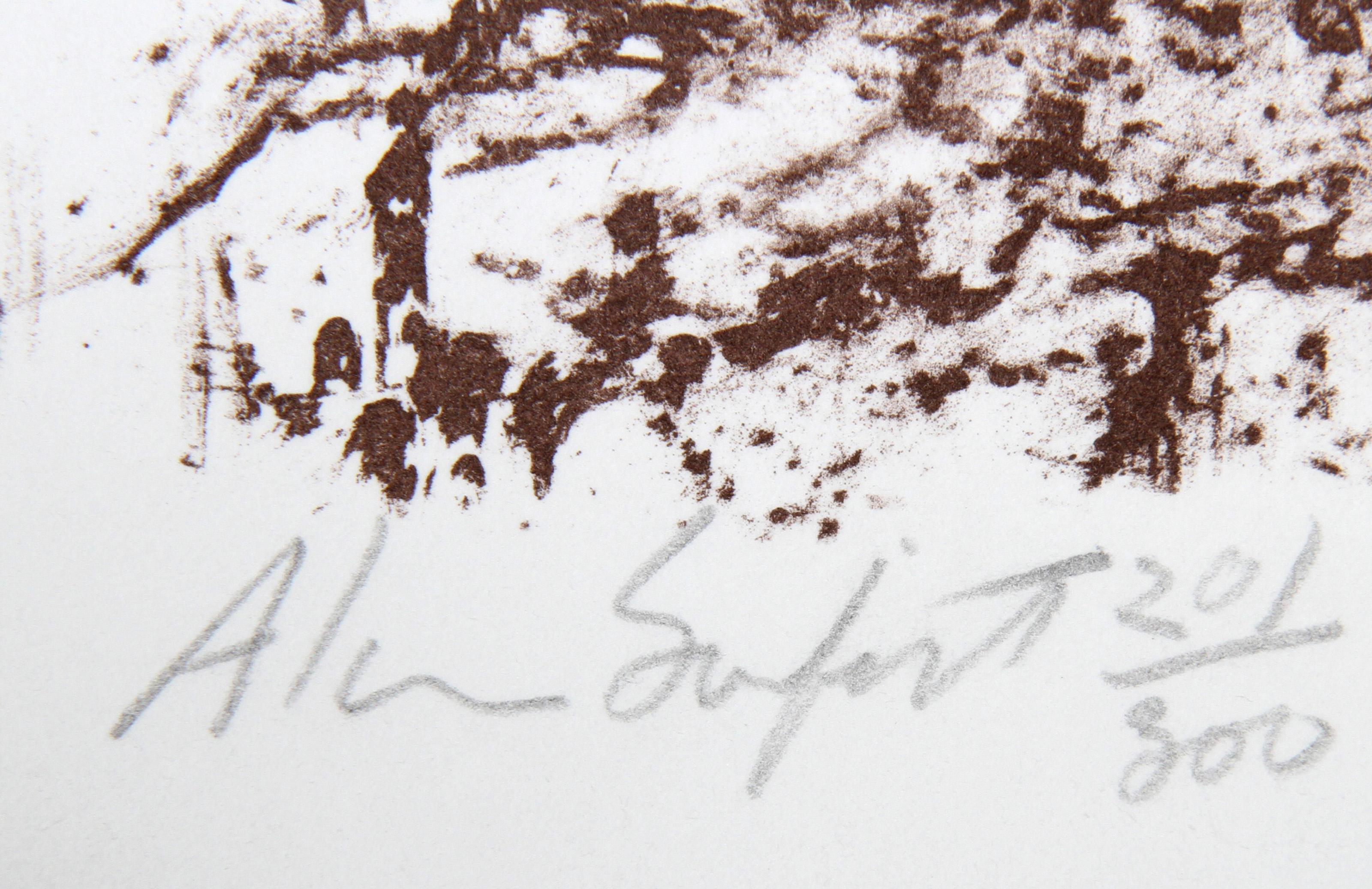 Texture 2, Conceptual Lithograph with Photo-Collage by Alan Sonfist For Sale 1