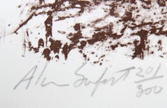 Texture 2, lithographie conceptuelle avec photo-collage d'Alan Sonfist