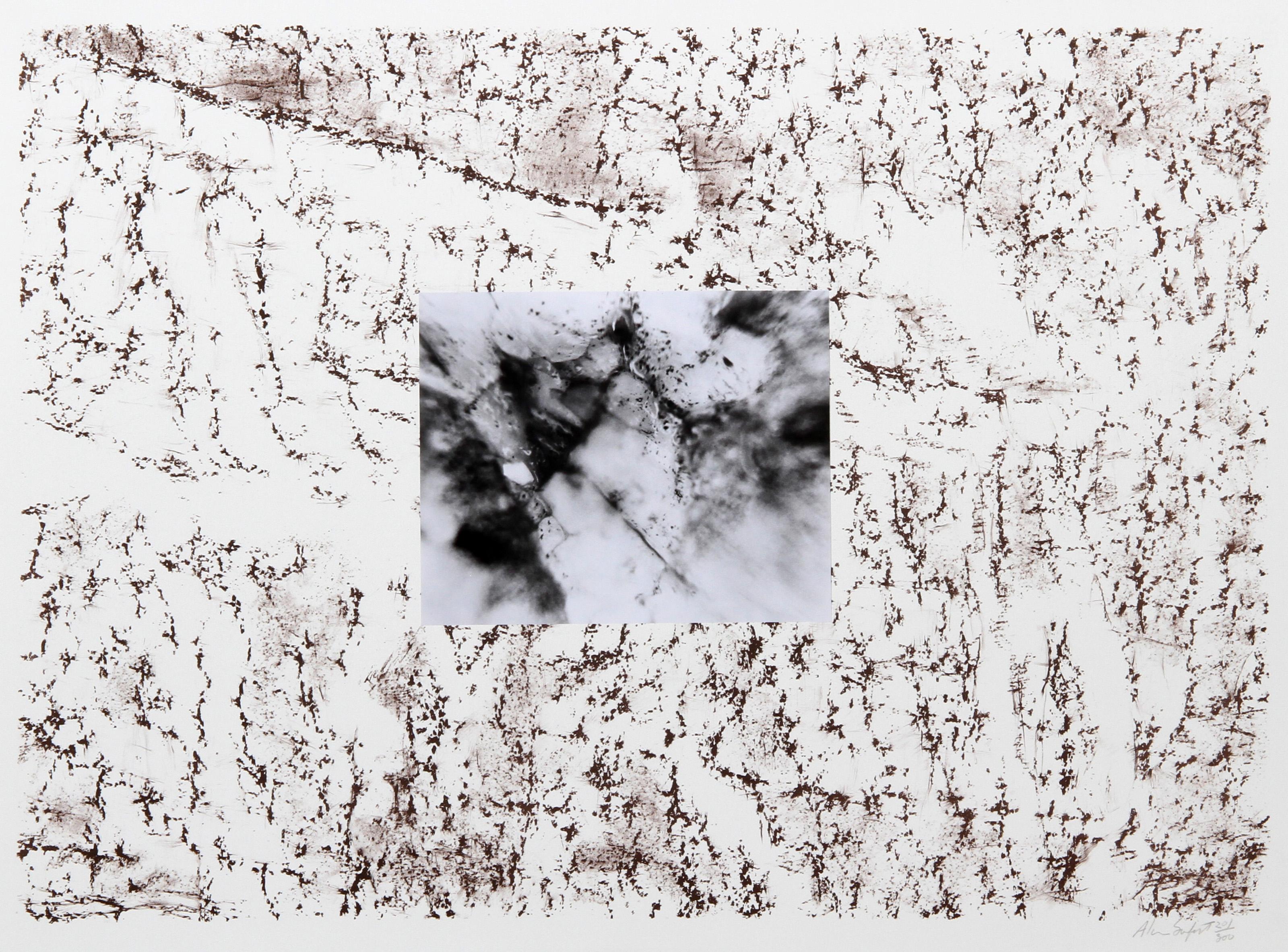 Texture 2, Conceptual Lithograph with Photo-Collage by Alan Sonfist