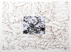 Texture 3, litografia concettuale con collage fotografico di Alan Sonfist