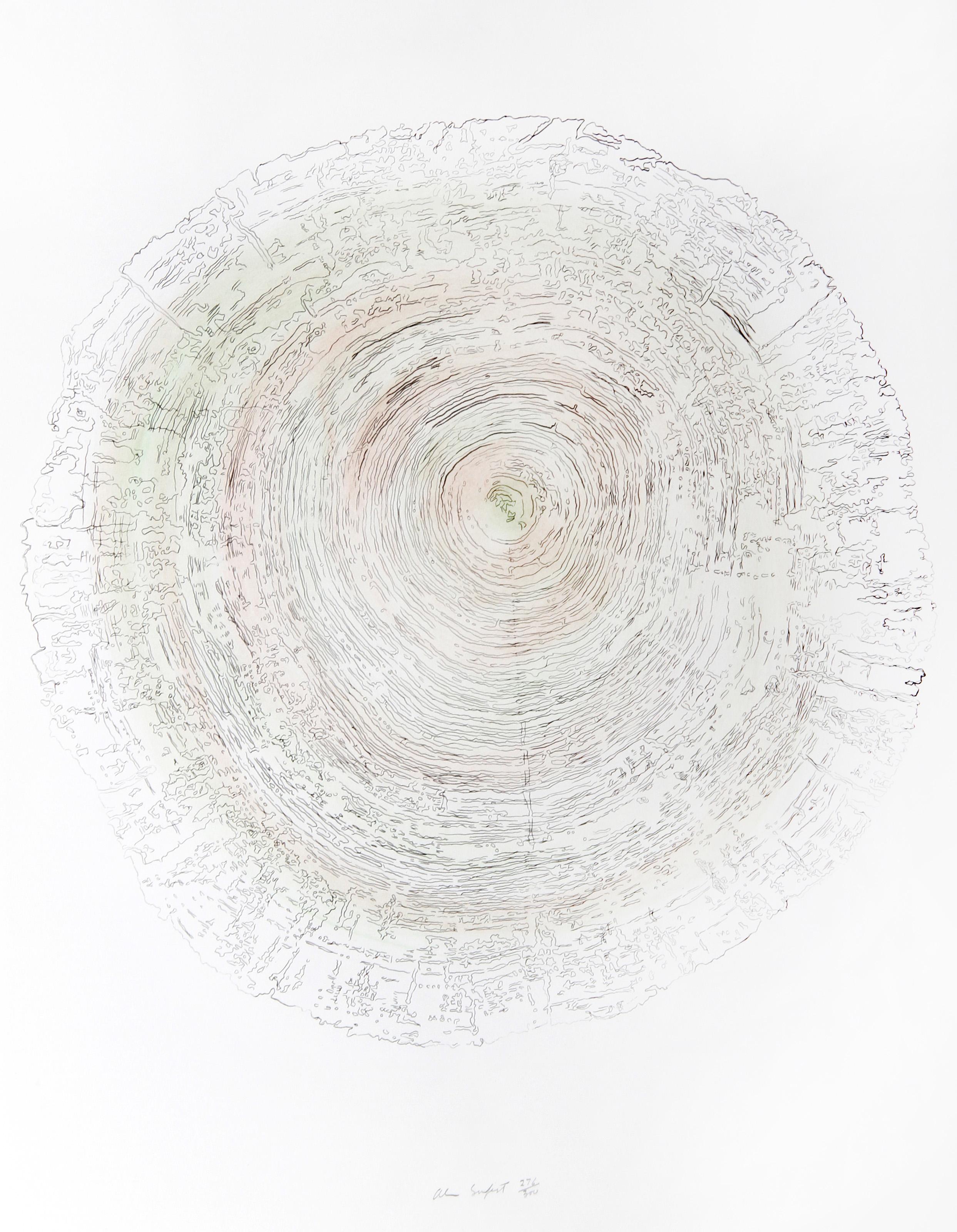 Alan Sonfist, American (1946 - ) - Tree Trunk Series - Green I, Year:  1980, Medium:  Lithograph, signed and numbered in pencil, Edition:  276/300, Image Size:  20.5 x 20.5 inches, Size:  30 in. x 22 in. (76.2 cm x 55.88 cm), Description:  In this