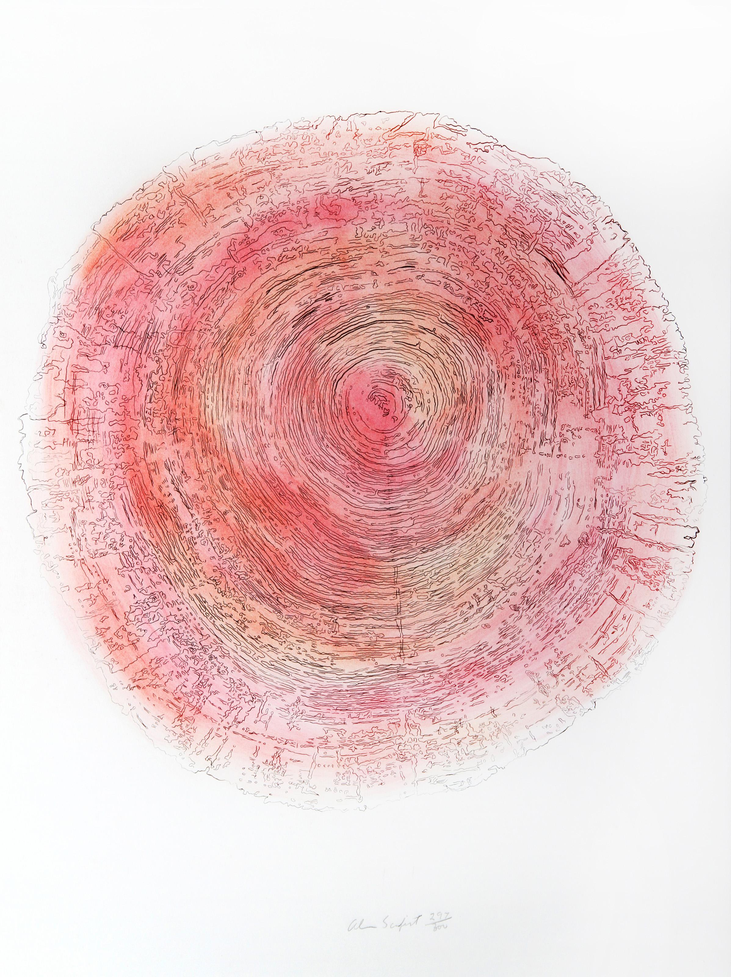 Alan Sonfist, American (1946 - ) - Tree Trunk Series - Pink I, Year:  1980, Medium:  Lithograph, signed and numbered in pencil, Edition:  300, Image Size:  20.5 x 20.5 inches, Size:  30 in. x 22 in. (76.2 cm x 55.88 cm), Description:  One of a