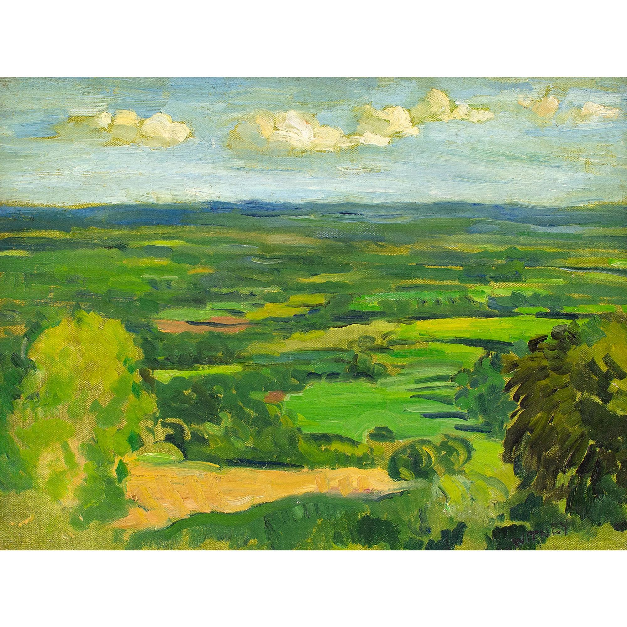 Alan Witney, Kentish Weald From The North Downs, Oil Painting For Sale 1