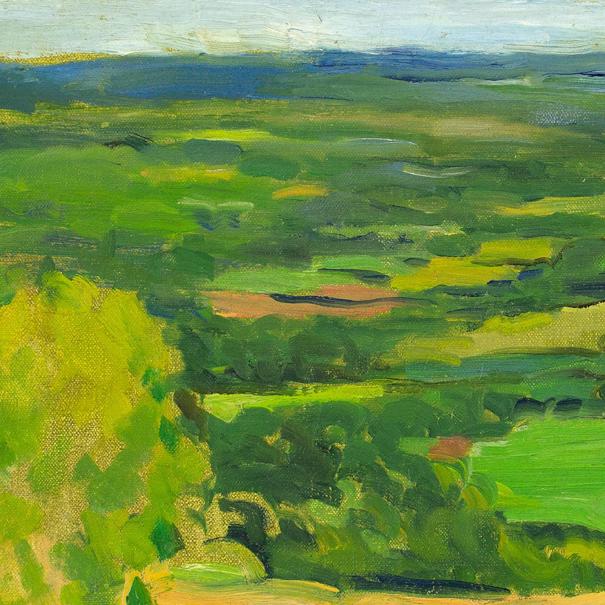 Alan Witney, Kentish Weald From The North Downs, Oil Painting For Sale 5