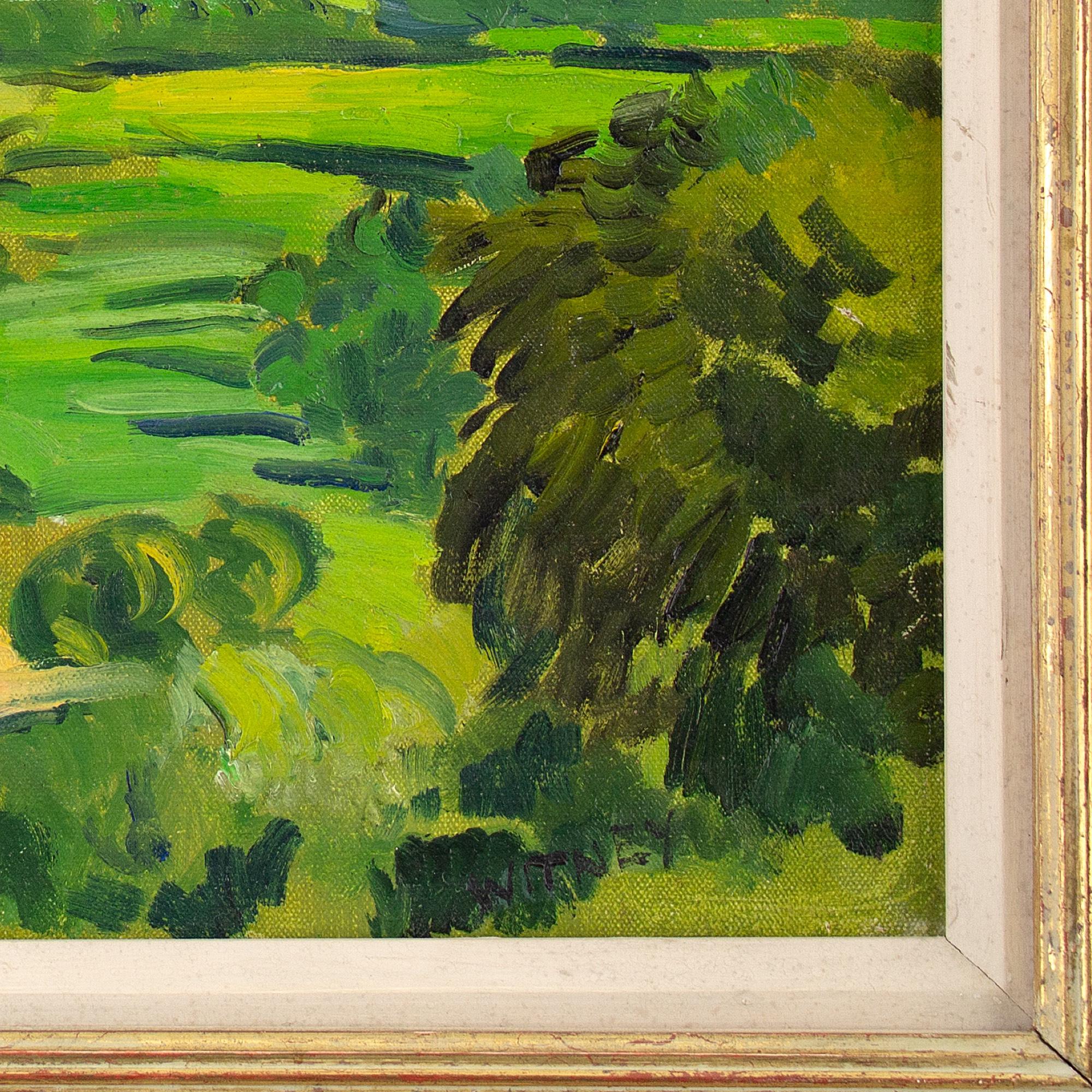 Alan Witney, Kentish Weald dalle North Downs, Pittura a olio 6