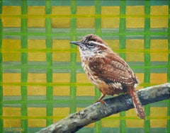 Carolina Wren, Pintura al óleo