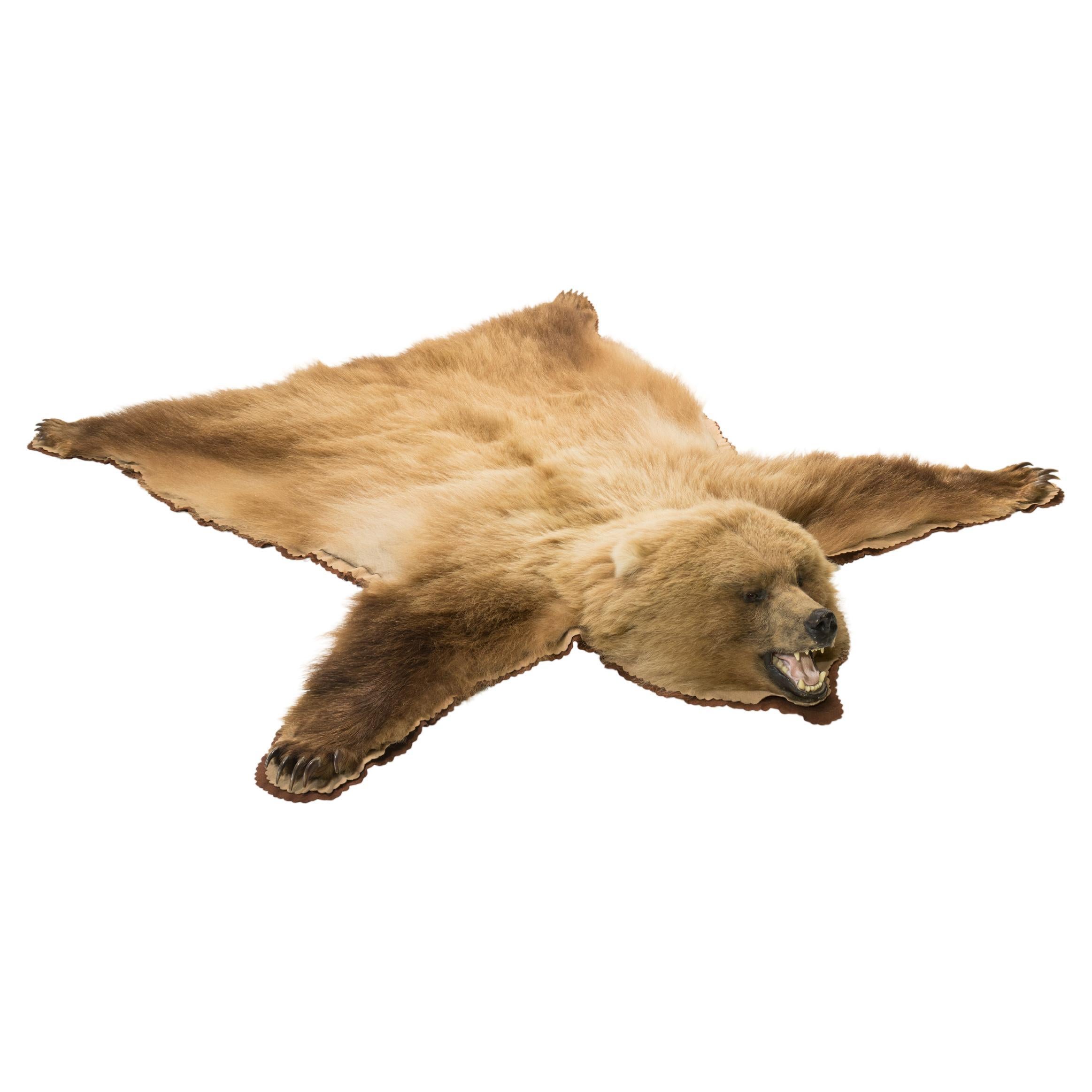 Tapis taxidermique d'ours brun d'Alaska