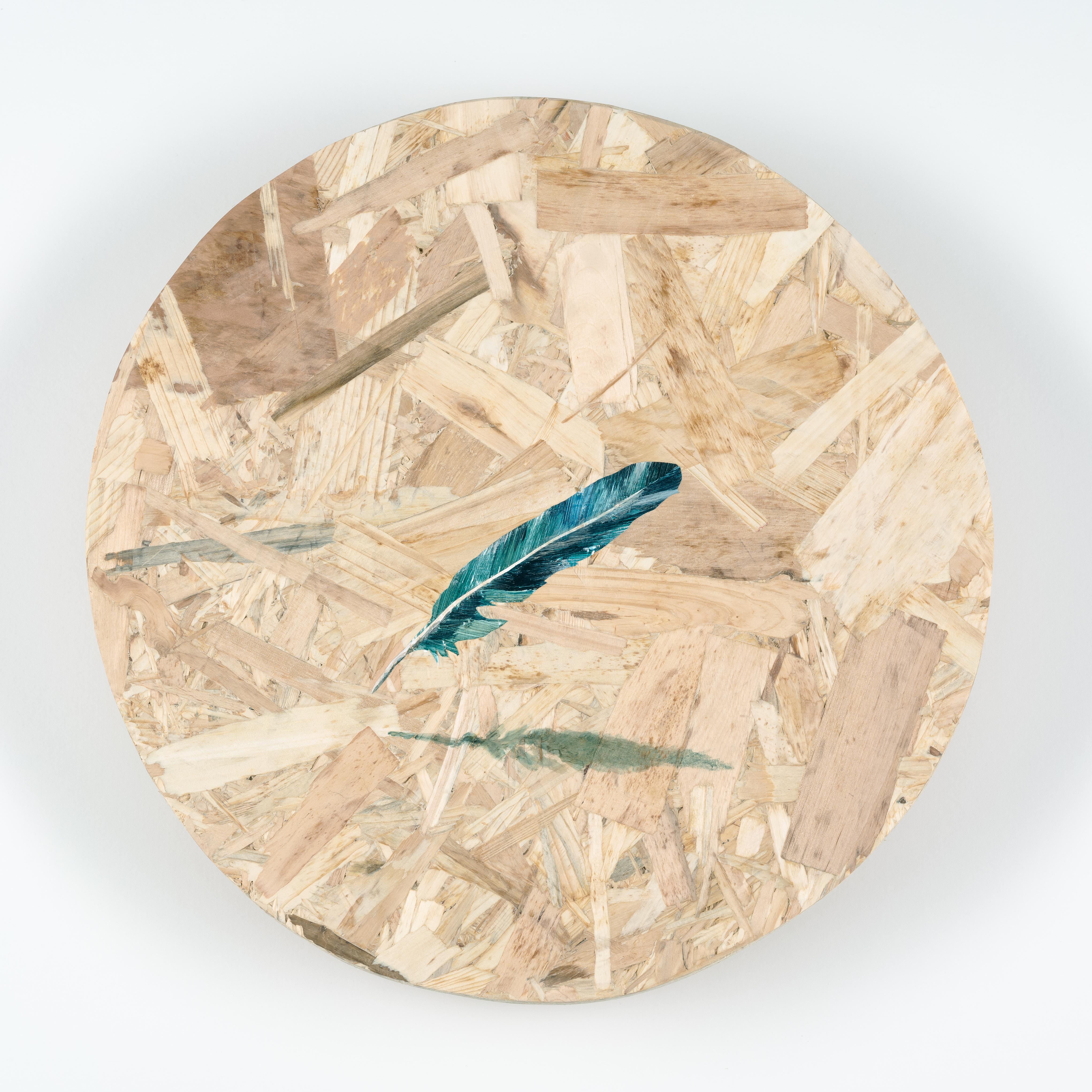Feather, Levitating , 2019 Acrylic on OSB board
