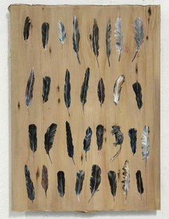 Thirty Feathers and One Mouse, 2019 Acrylic and oil on paper. Framed.