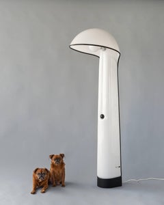 Alba Floor Lamp by Brazzoli & Lampa for Harvey Guzzini