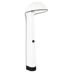 Floor Lamps